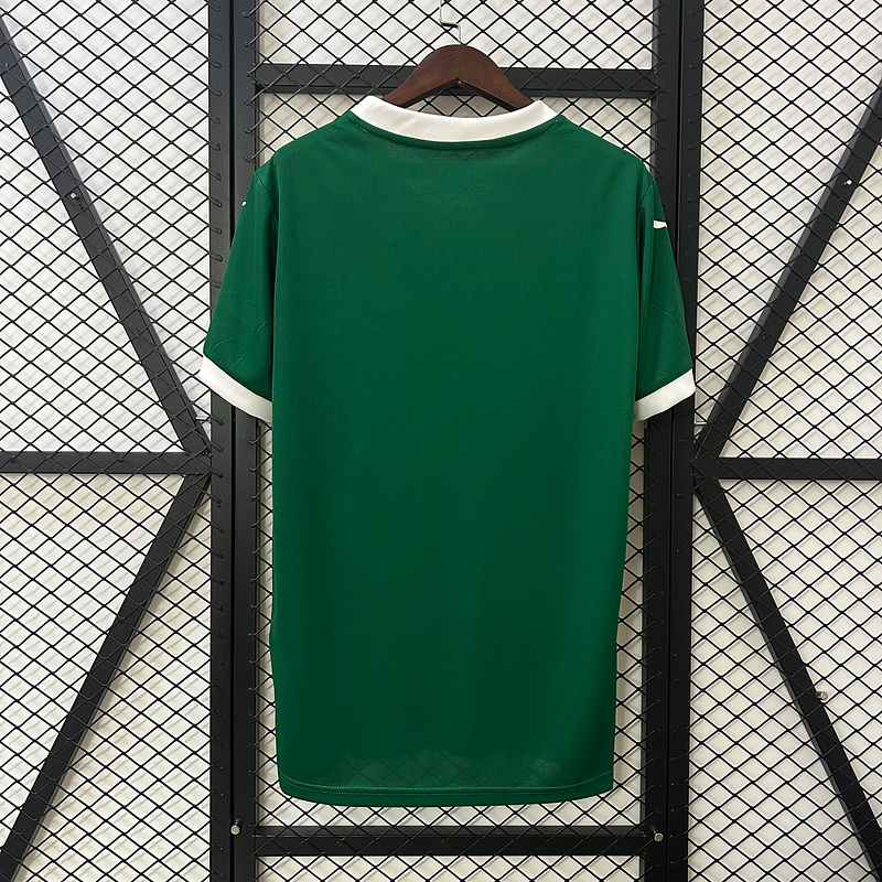 Camisola Palmeiras - 25/26