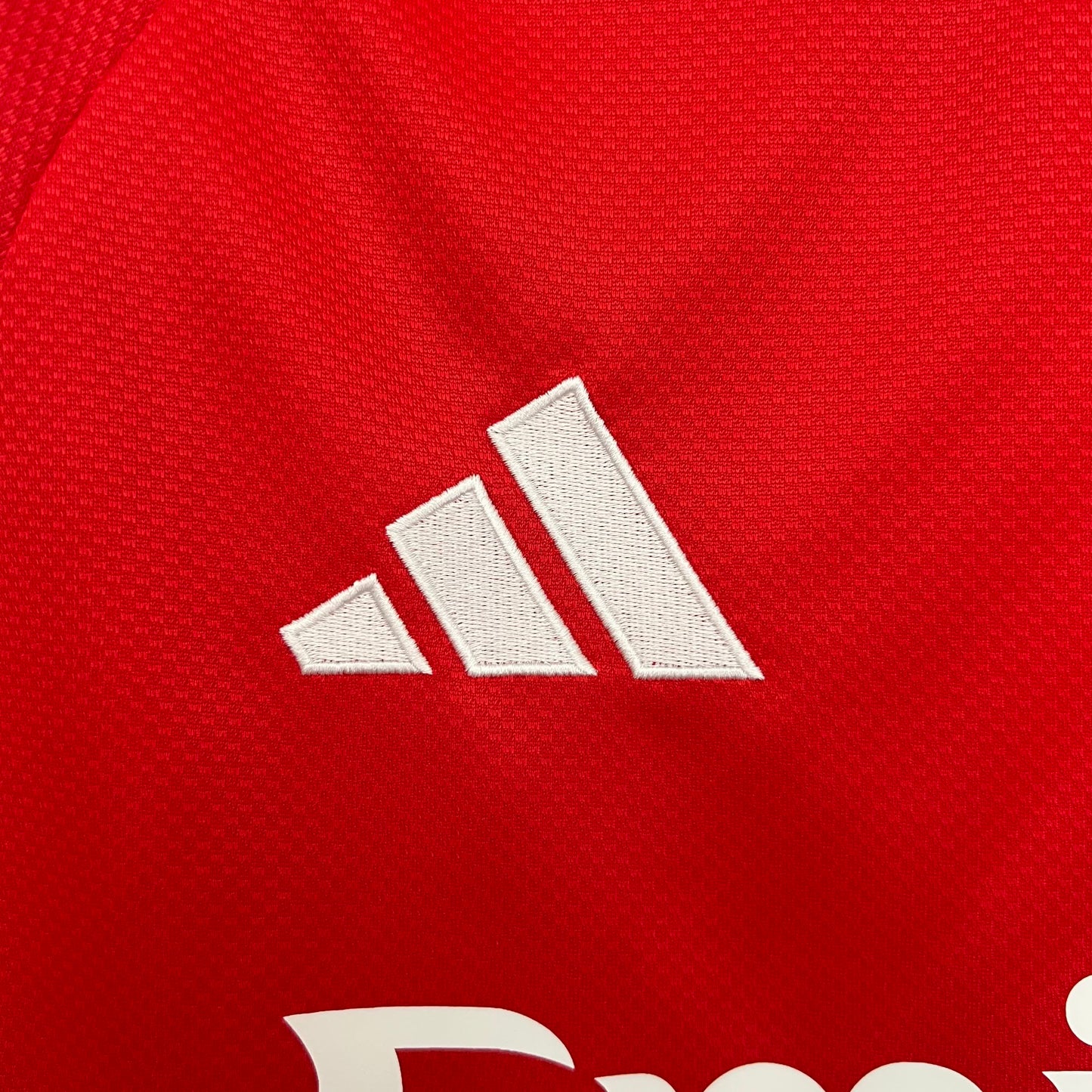 Camisola SL Benfica Manga Comprida - 25/26
