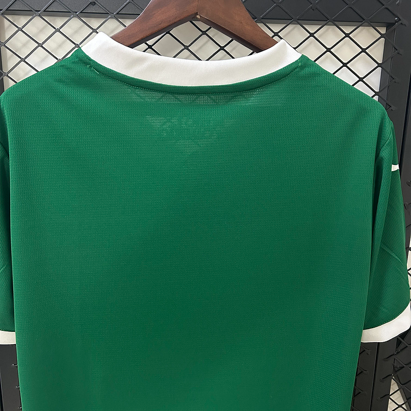 Camisola Palmeiras - 25/26